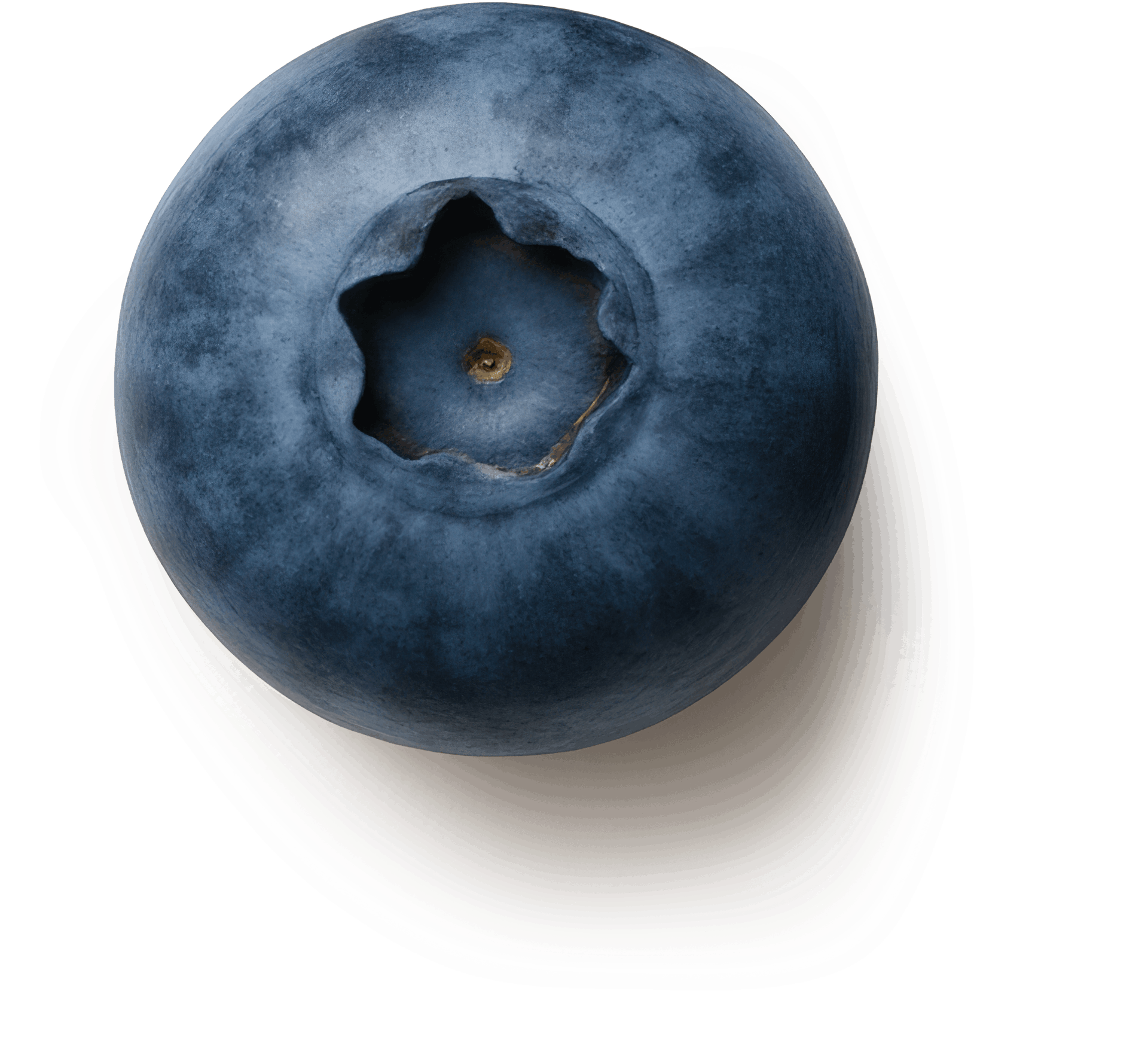 Blueberry